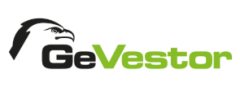 GeVestor - Rekord Aktien 2025 Gratis PDF ❤️