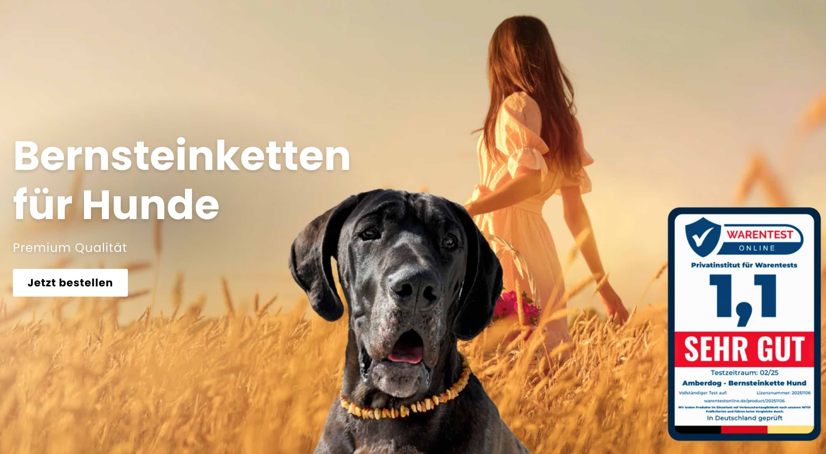 Amberdog