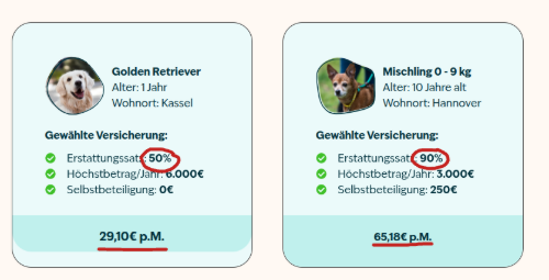 Beispiel für Hunde